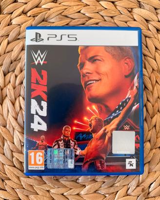 Gioco PS5 WWE 2K24