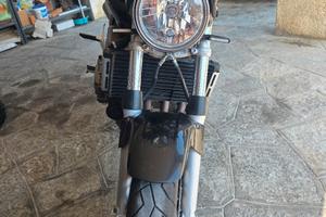 honda hornet