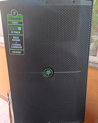  coppia di casse attive THUMP 215