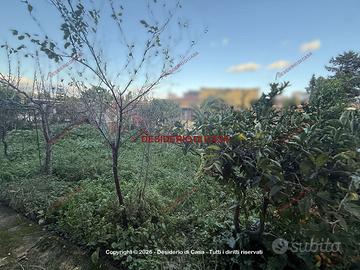 Terreno, Chiusa Nuova, Carini.