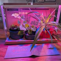 Bulbo Quadra - Lampada LED Smart Garden 14W Orto