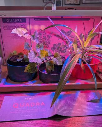 Bulbo Quadra - Lampada LED Smart Garden 14W Orto