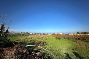 Terreno edificabile pianeggiante a Trappeto