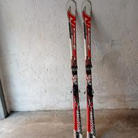 Sci Nordica dobermann spitfire