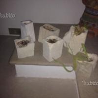 Vasetti per piante grasse n pietra di trani