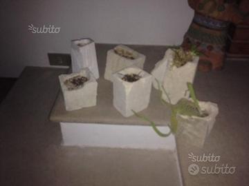 Vasetti per piante grasse n pietra di trani