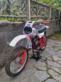 TGM 50 Competizione 1980/81