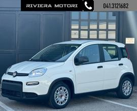 FIAT Panda 1.0 FireFly S&S Hybrid My24 TUA A 99