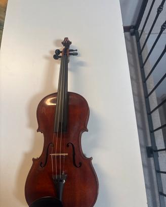 Violino 4/4 Labelled Stainerr