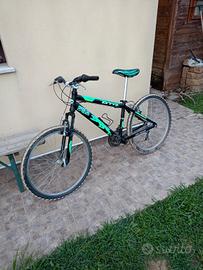 Bicicletta