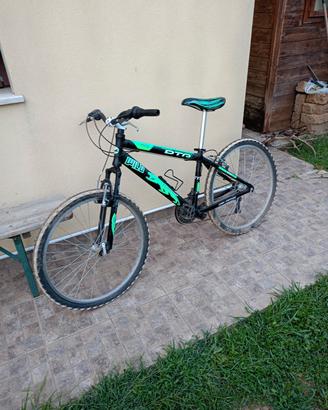 Bicicletta