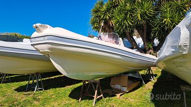 Joker 24 con Honda bf 250