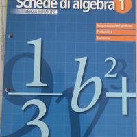 Schede di algebra. Vol. 1 Codice EAN 978880507224