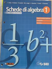 Schede di algebra. Vol. 1 Codice EAN 978880507224