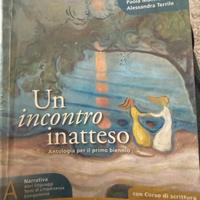 un incontro inatteso