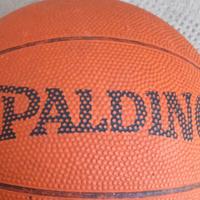 Palla basket Spalding