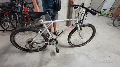 Mountain bike 
