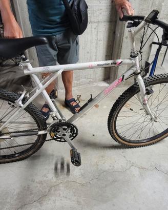 Mountain bike 