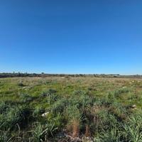 Terreno 5 ettari IDEALE PER ULIVETO/AGRIVOLTAICO