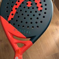 Head radical motion 2026