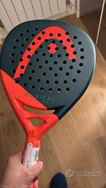 Head radical motion 2026