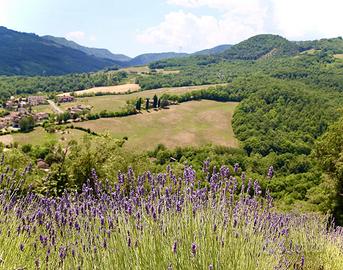 Terreno agricolo