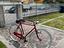 Immagine 5