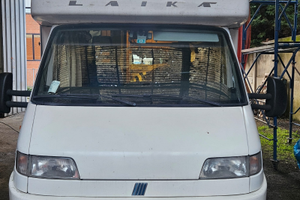 Vendersi camper Laika