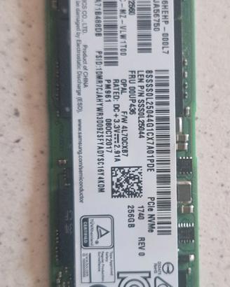 Hardisk SSD Samsung NVMe M.2 256 GB