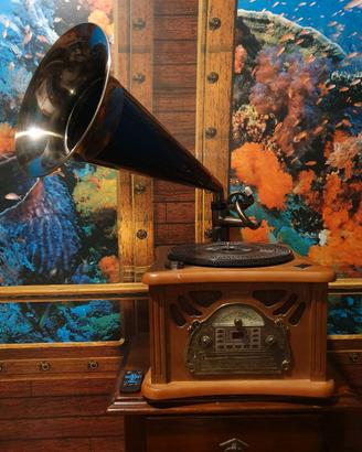 Roadstar HIF-1850TUMPK - Giradischi, Stereo, Casse