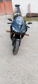 Honda CBR 600 rr - 86 KW