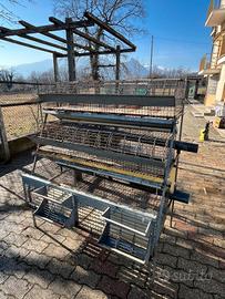 gabbia per i conigli