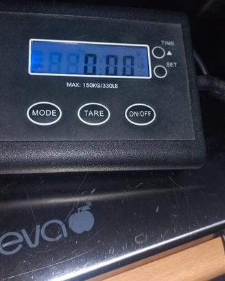 bilancia elettronica eva