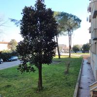 Pisa ampio bilocale arredato