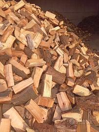 legna da ardere secca 