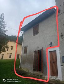 Terra tetto