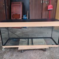 acquario dubai 240 lt