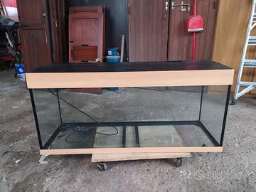 acquario dubai 240 lt