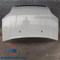 COFANO ANTERIORE FORD TRANSIT TOURNEO CONNECT (03-