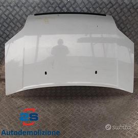 COFANO ANTERIORE FORD TRANSIT TOURNEO CONNECT (03-