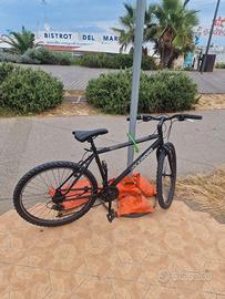 bicicletta