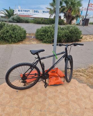 bicicletta