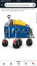 Carrello spiaggia e pesca