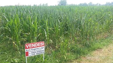 Terreno di 2300 m² a Cartigliano