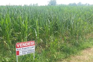 Terreno di 2300 m² a Cartigliano