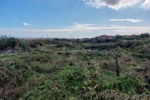 Panoramico lotto 22.000 mq (0.03 mc/mq su 30.000)