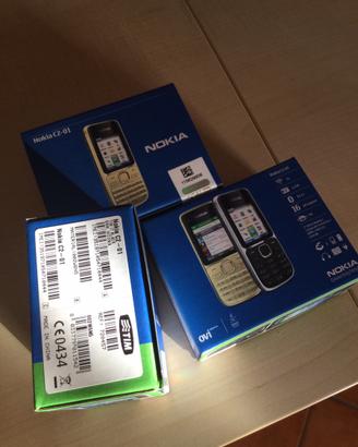 Nokia C2-01