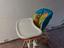 Immagine 1