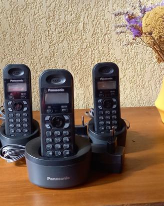 Telefono Cordless Panasonic TRIO
