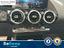 Immagine 17